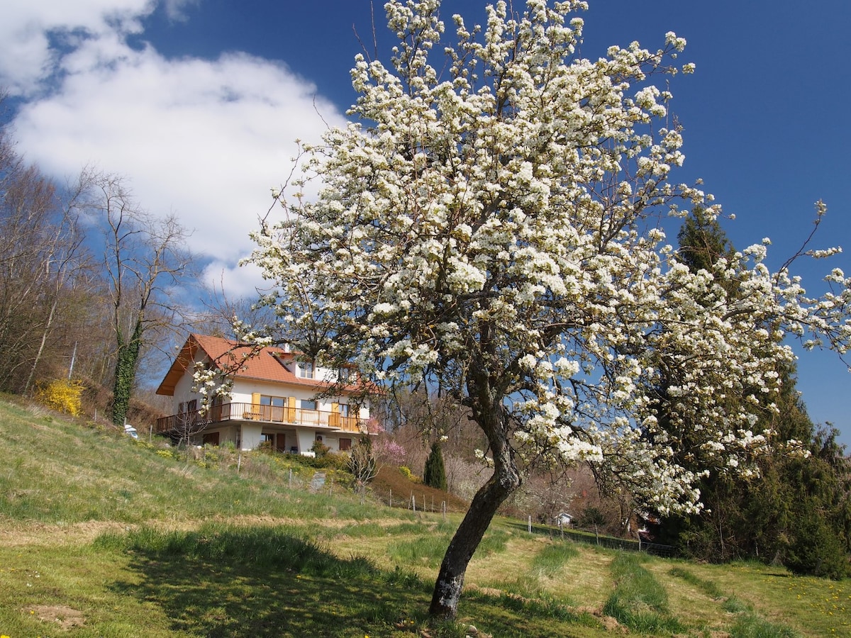 Appt plein sud au calme, entre lac et montagnes !