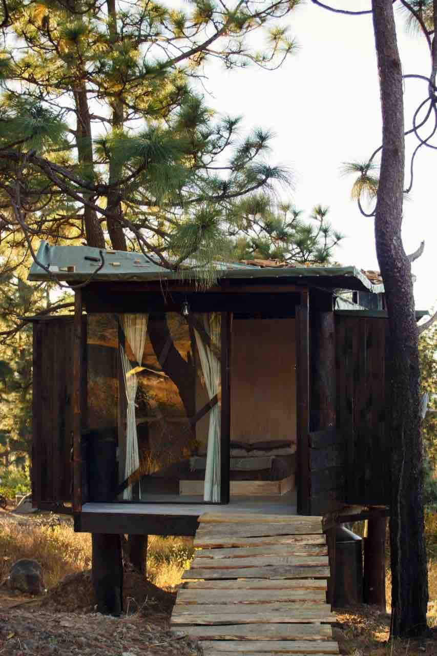 Tree house nest