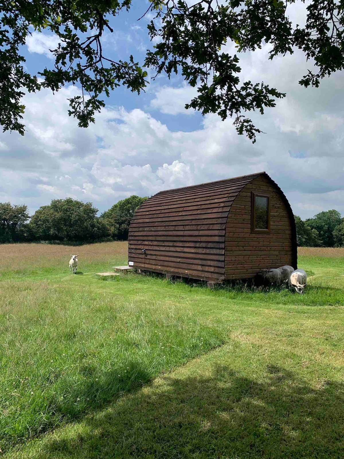 The Roost - Tanglin Farm Camping Pod