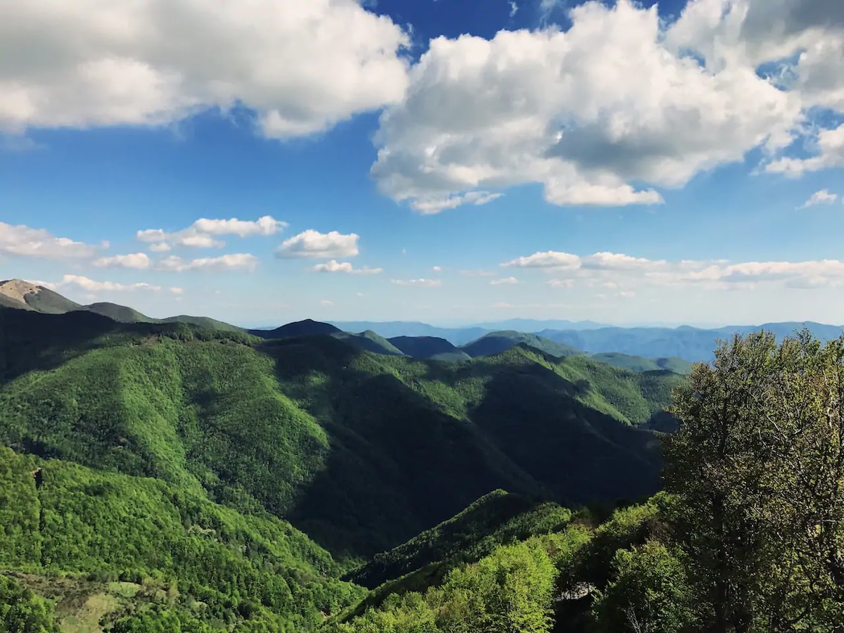 Wild Camping Paladini 'Nocciolo'