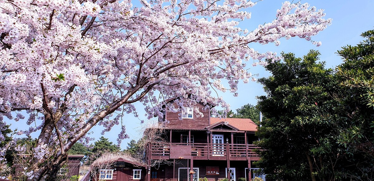 与孝利民宿相邻，别墅独门独户木屋，距机场10几分钟车程，可机场接送，套内独享厨卫餐厅三人房，中文房东