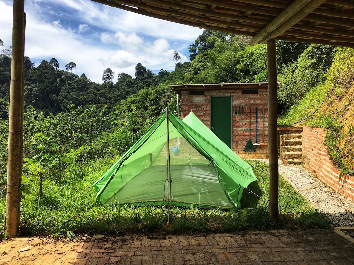 Plateau Farm Campsite 1, Janda Baik