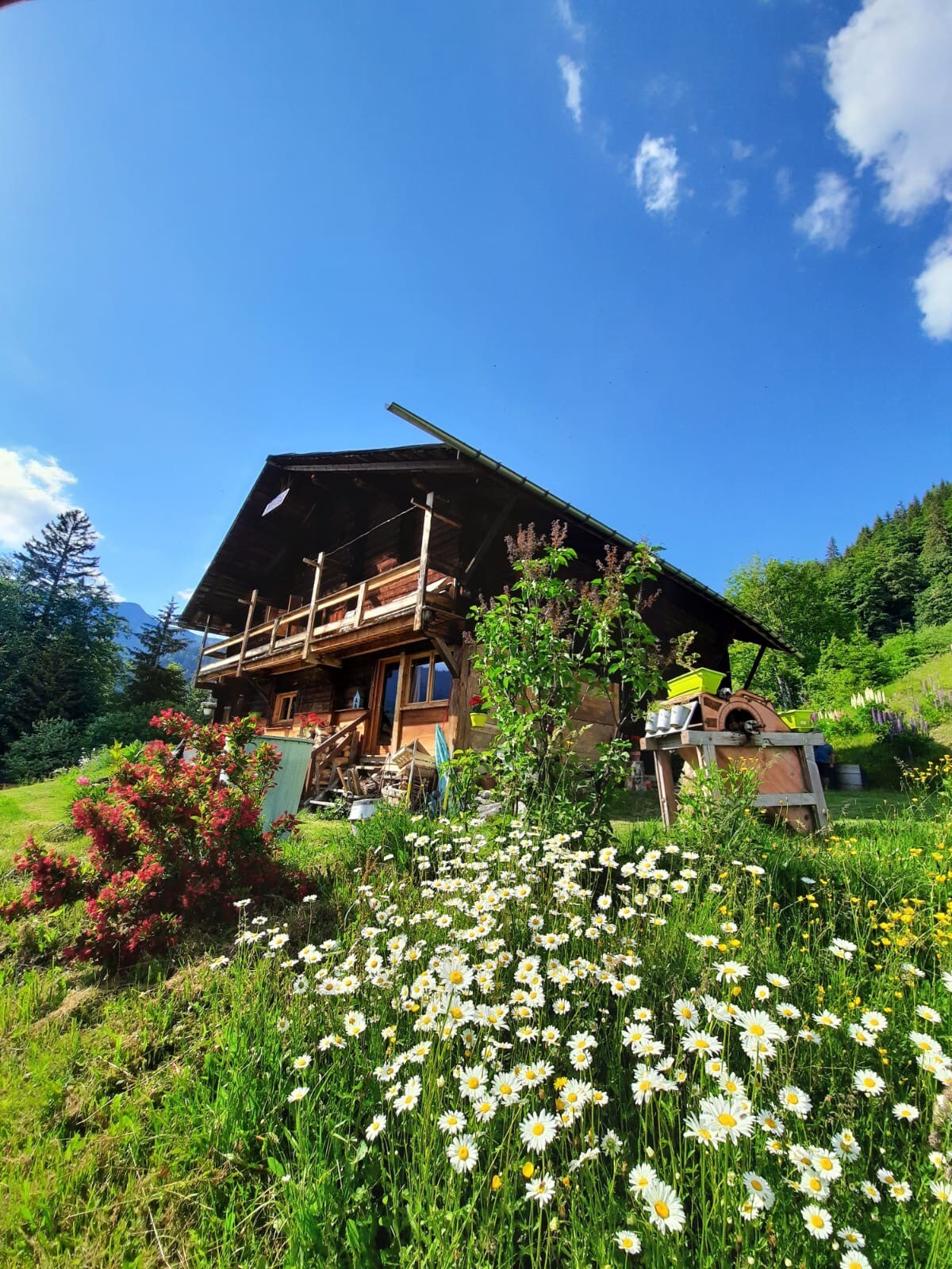 山间正宗高山度假木屋