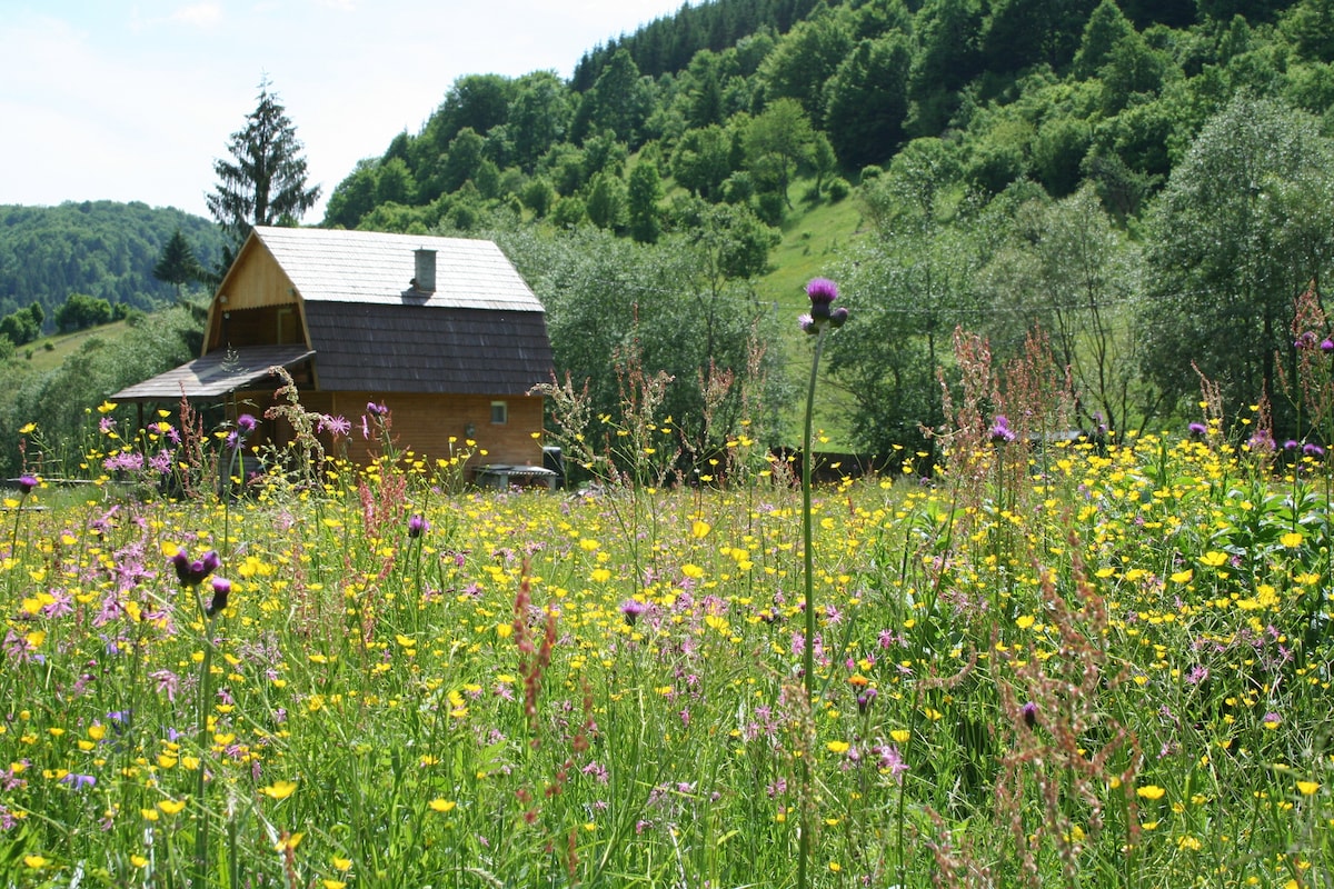 Szőkelak Guesthouse