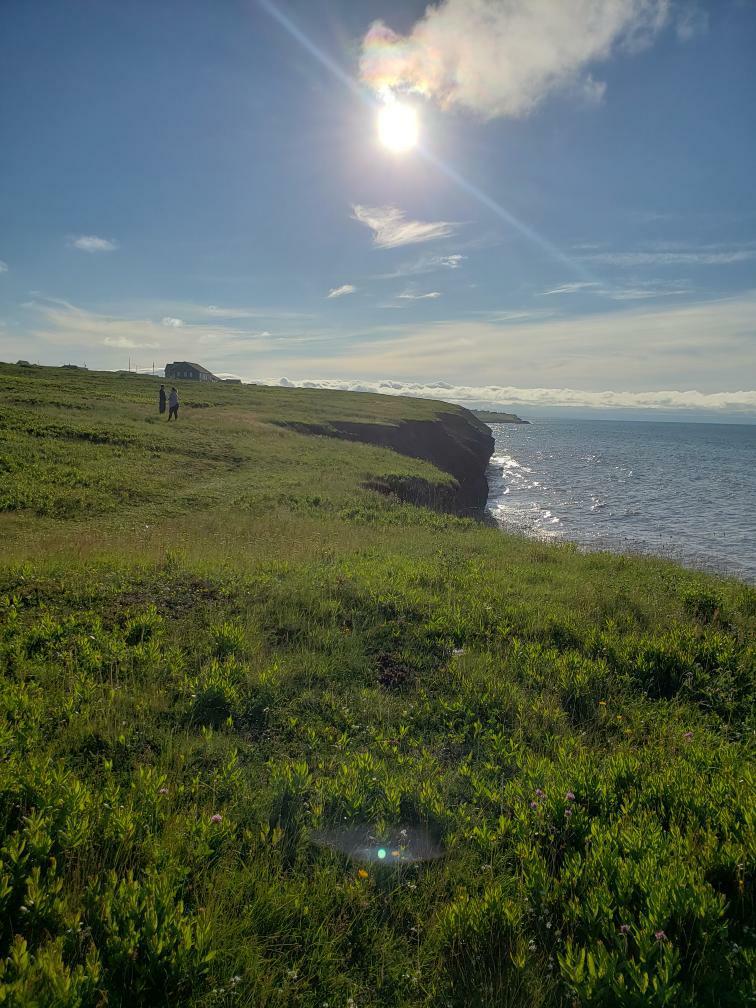 Neary 's Cove: New Waterford