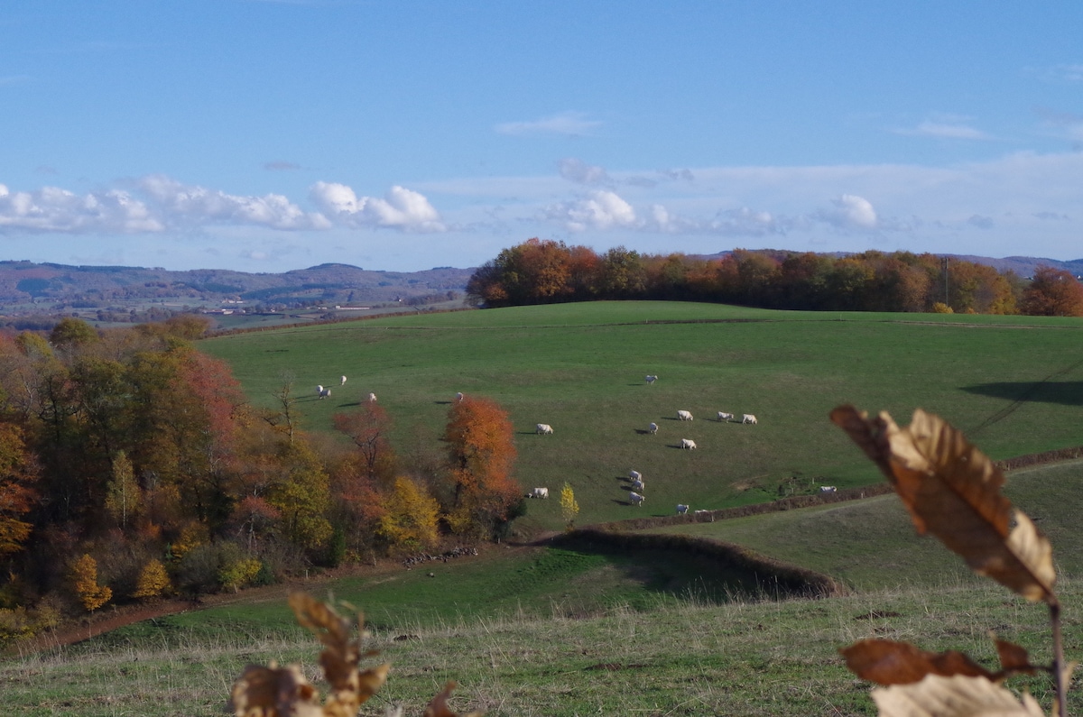 Les Gîtes du Moulin de Poil “La Bergerie” ， 7 pl