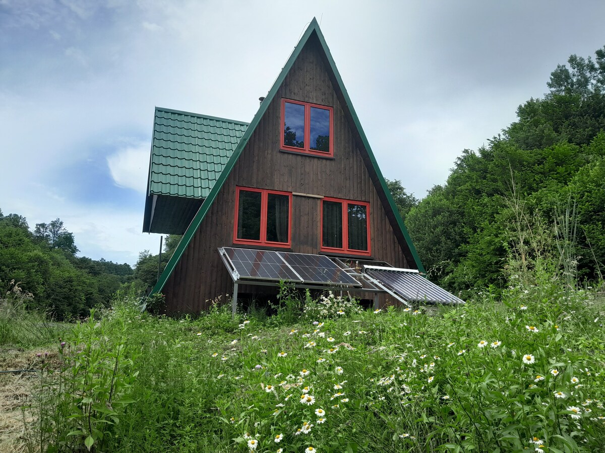 A frame self sustainable cottage, go a eco warrior