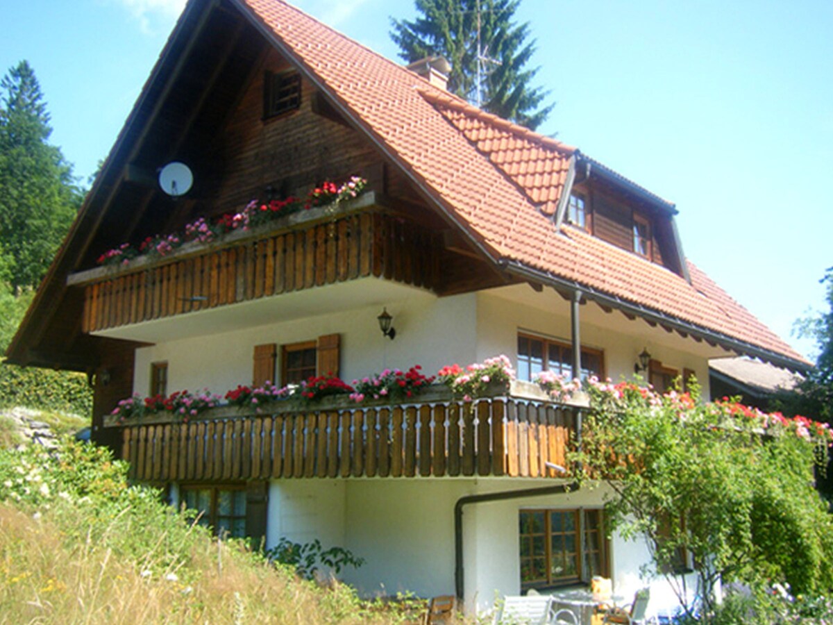 Waldhüsli-Feldberg ， （ Feldberg-Neuglashütten ） ，度假公寓花园楼层， 40平方米， 1间卧室