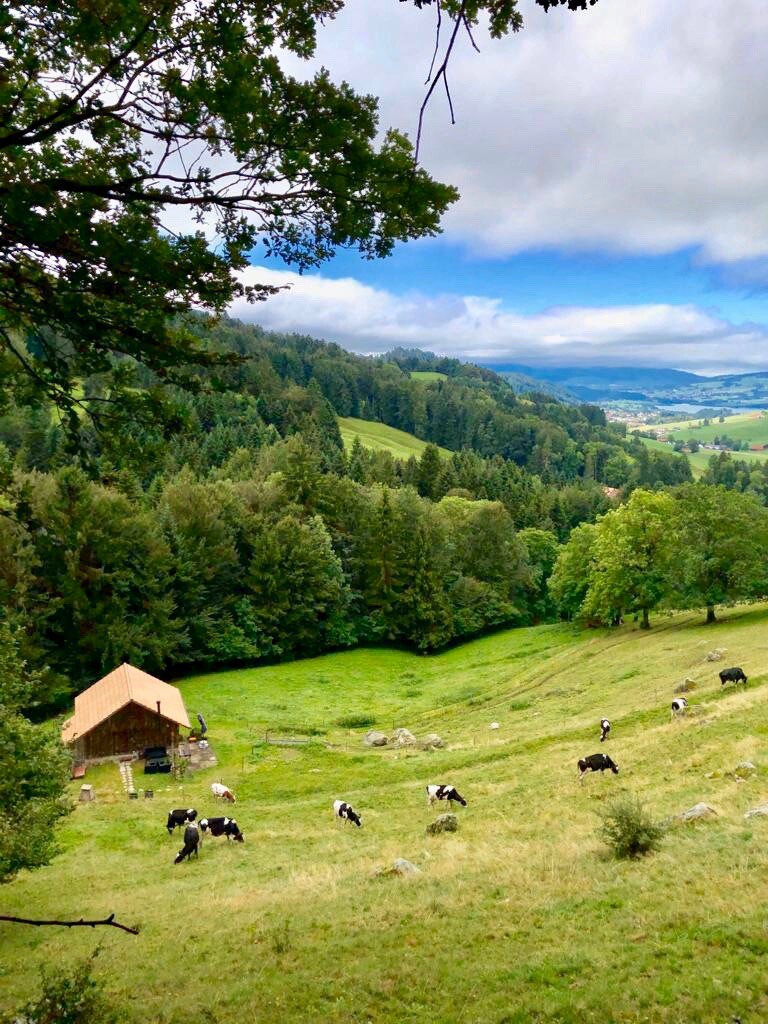 Offgrid cabin /Eco lodge