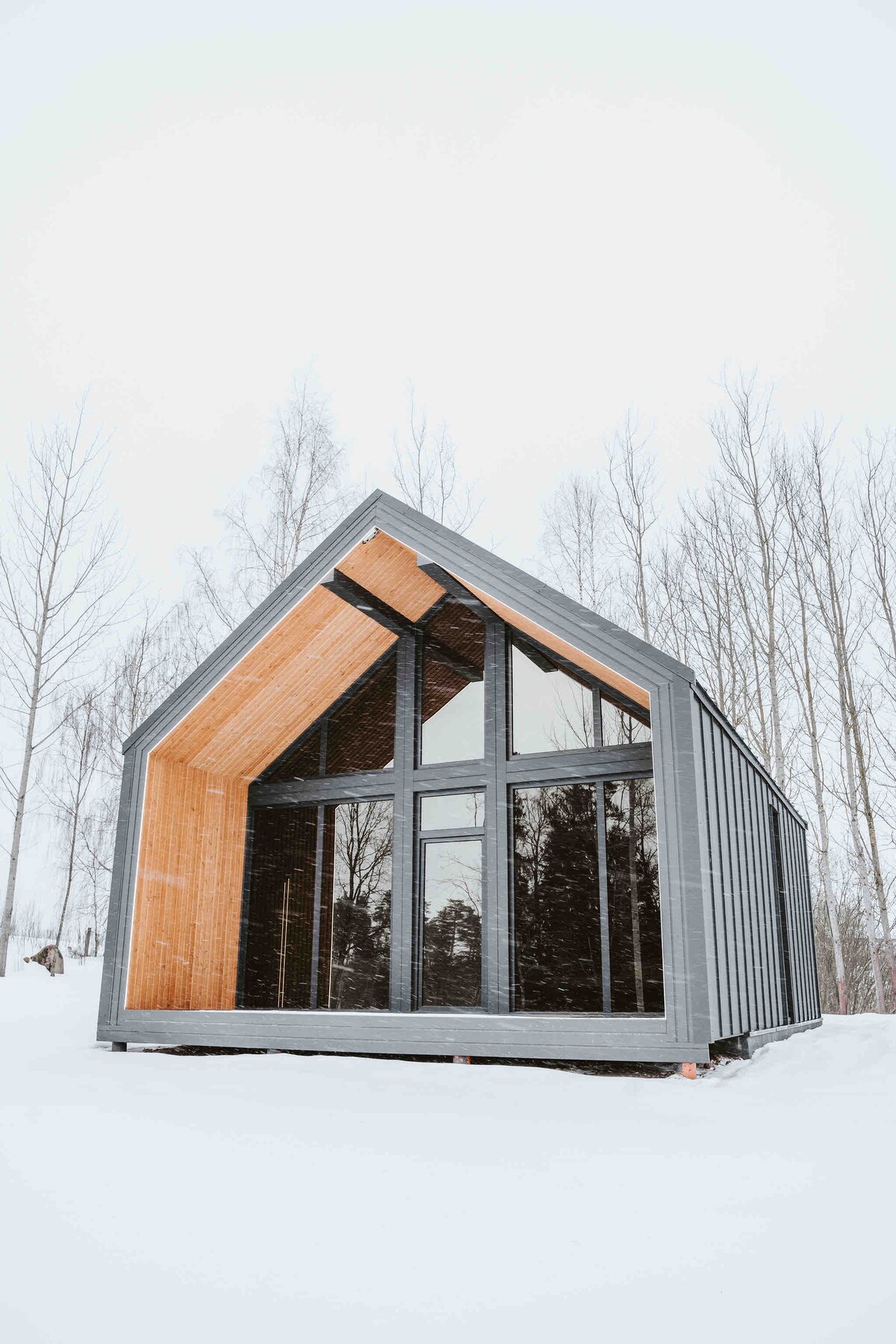 Sniegi design cabins