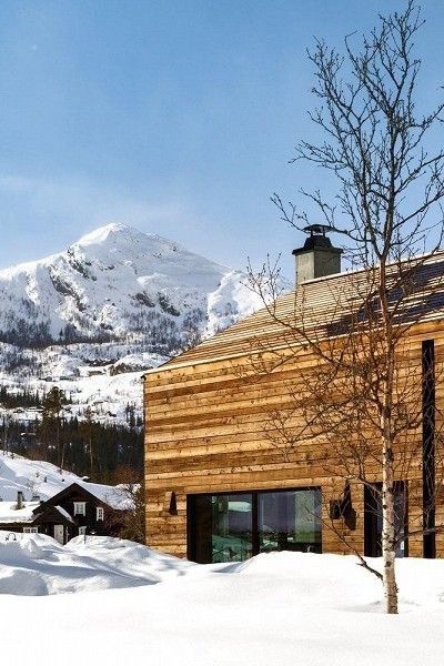 位于Hemsedal滑雪中心的大型小木屋