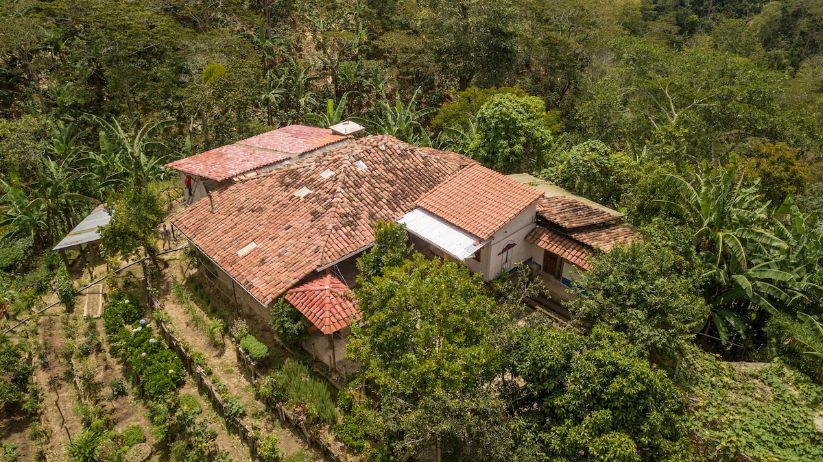 Living on a coffee farm in the middle of nature