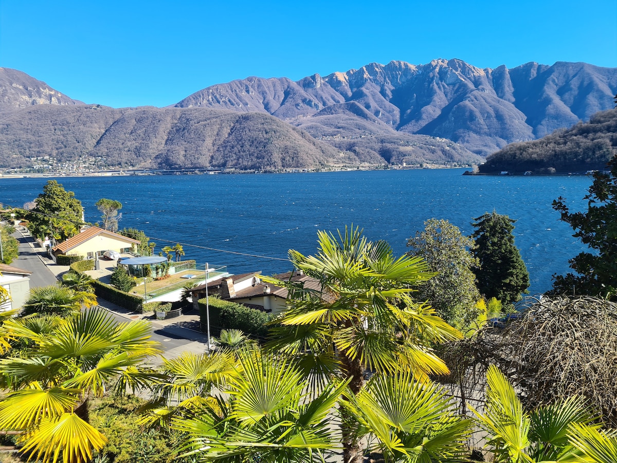 现代化公寓，可欣赏湖景、壁炉和停车场