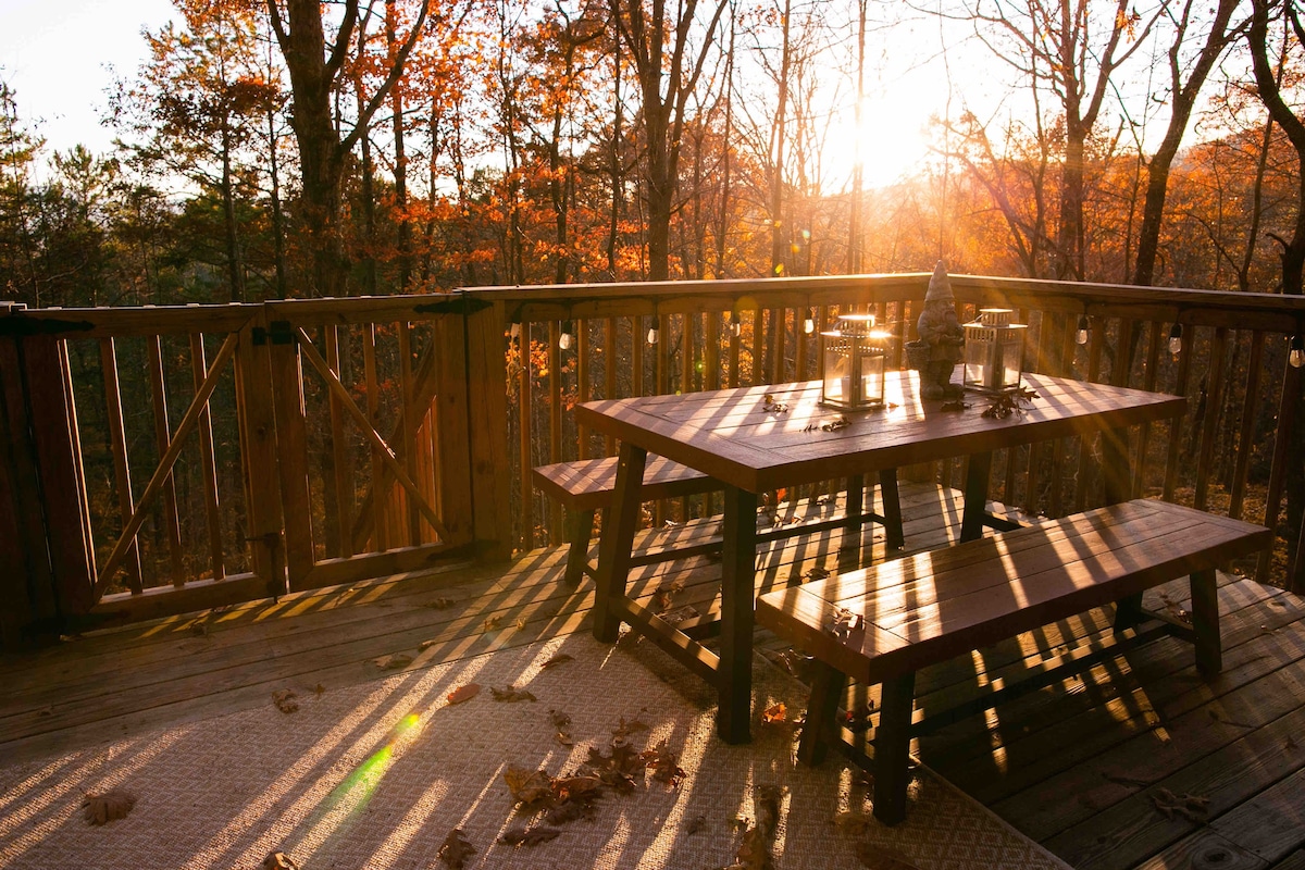 A-Frame - Chattahoochee National Forest Beauty