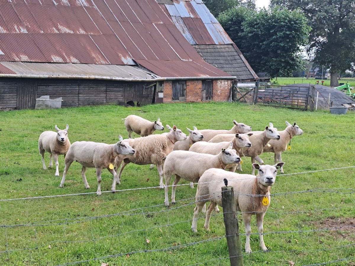 位于特温特（ Twente ）的美妙住宿。