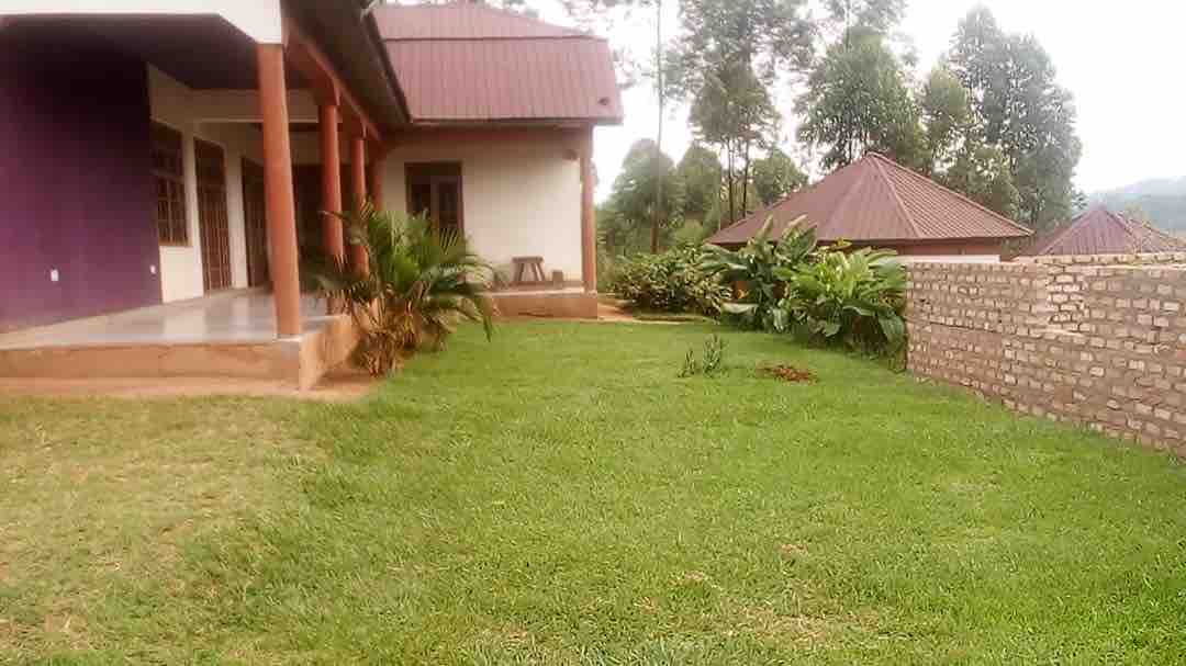 Wild West guest house ( masaka )