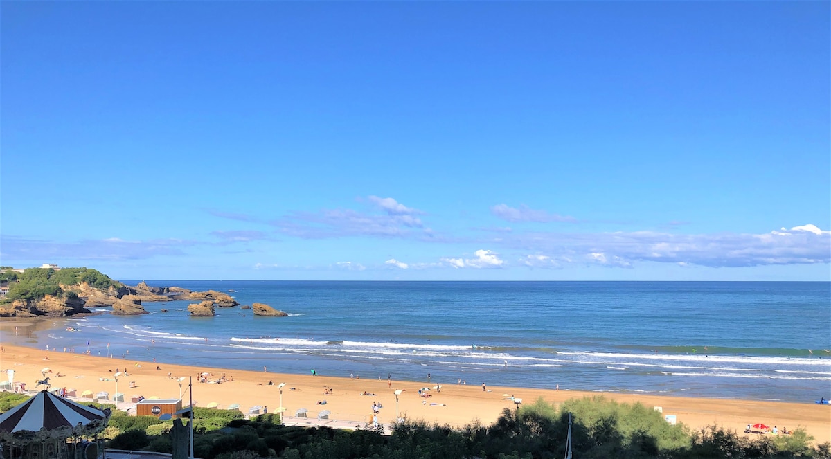 Victoria surf Biarritz 102