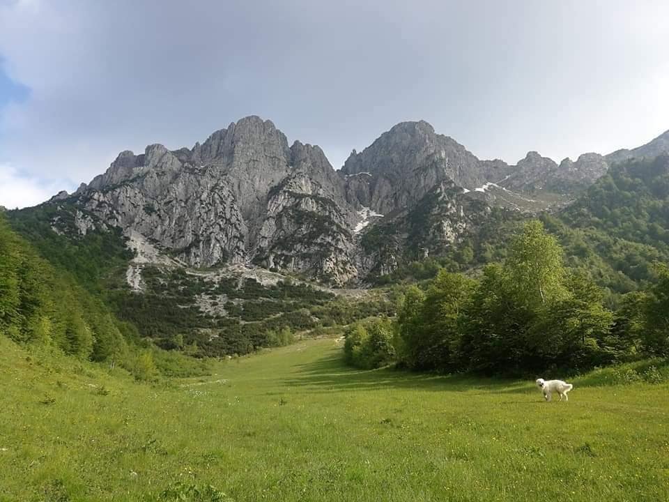 AlpenDom-Relax in montagne
