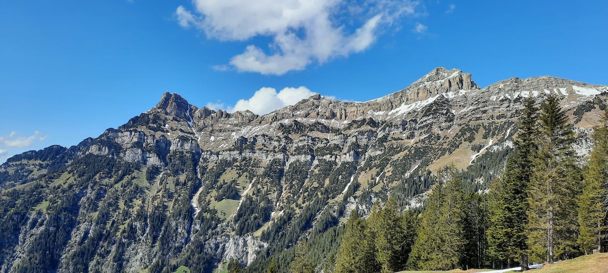 壮丽的湖景，非常适合度假！