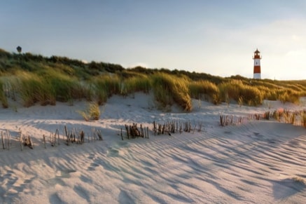 4 persoons chalet in de duinen, nabij zee en Nes