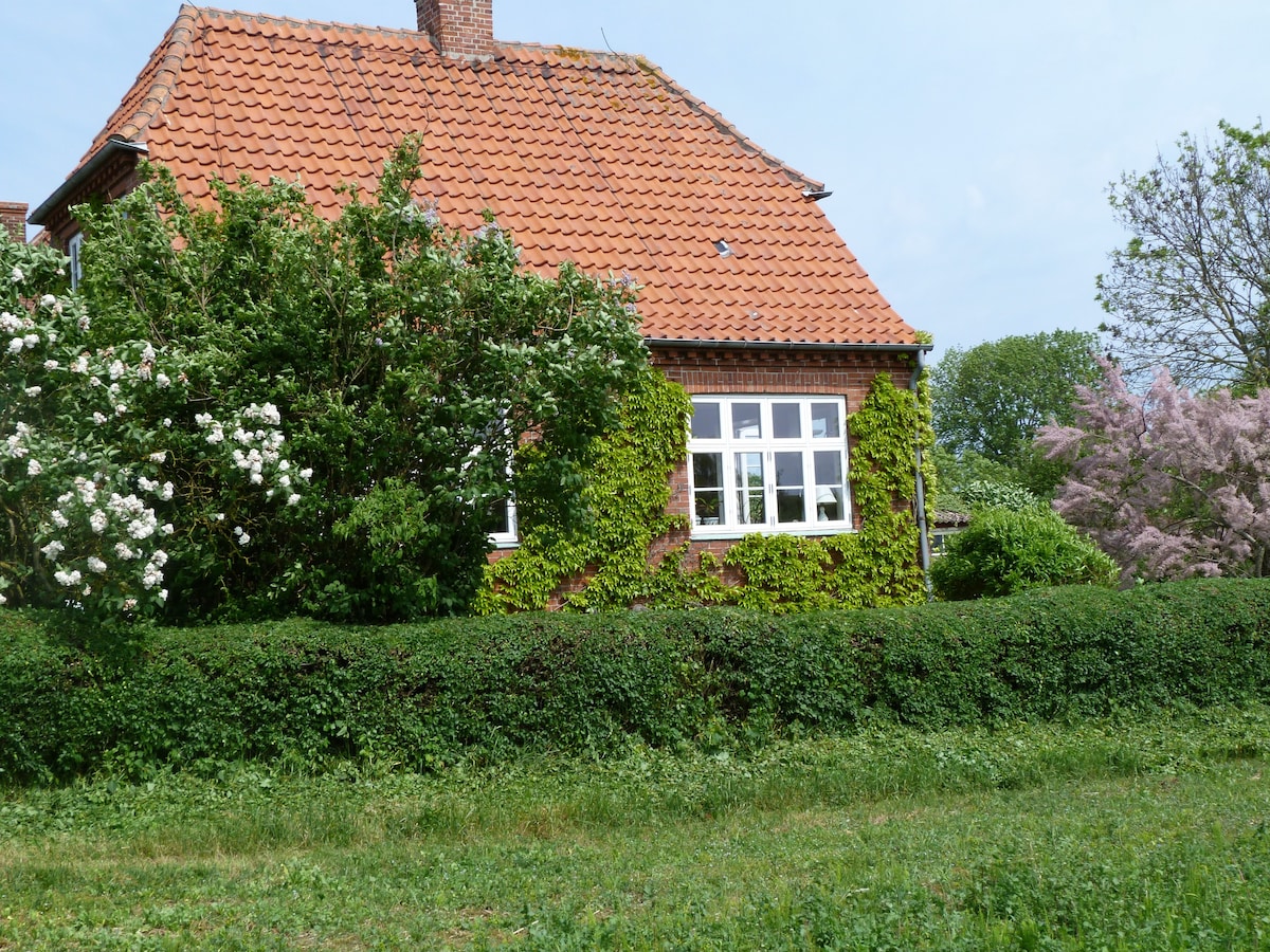 Grandma 's house, Onsbjerg Hovedgade 4