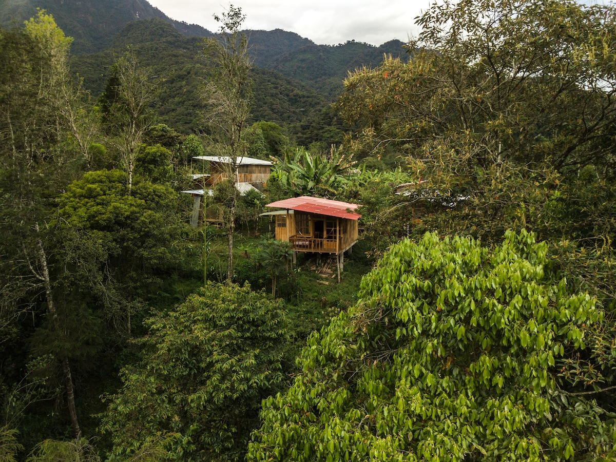 Intag Colibrí云雾森林保护区-阳台小屋