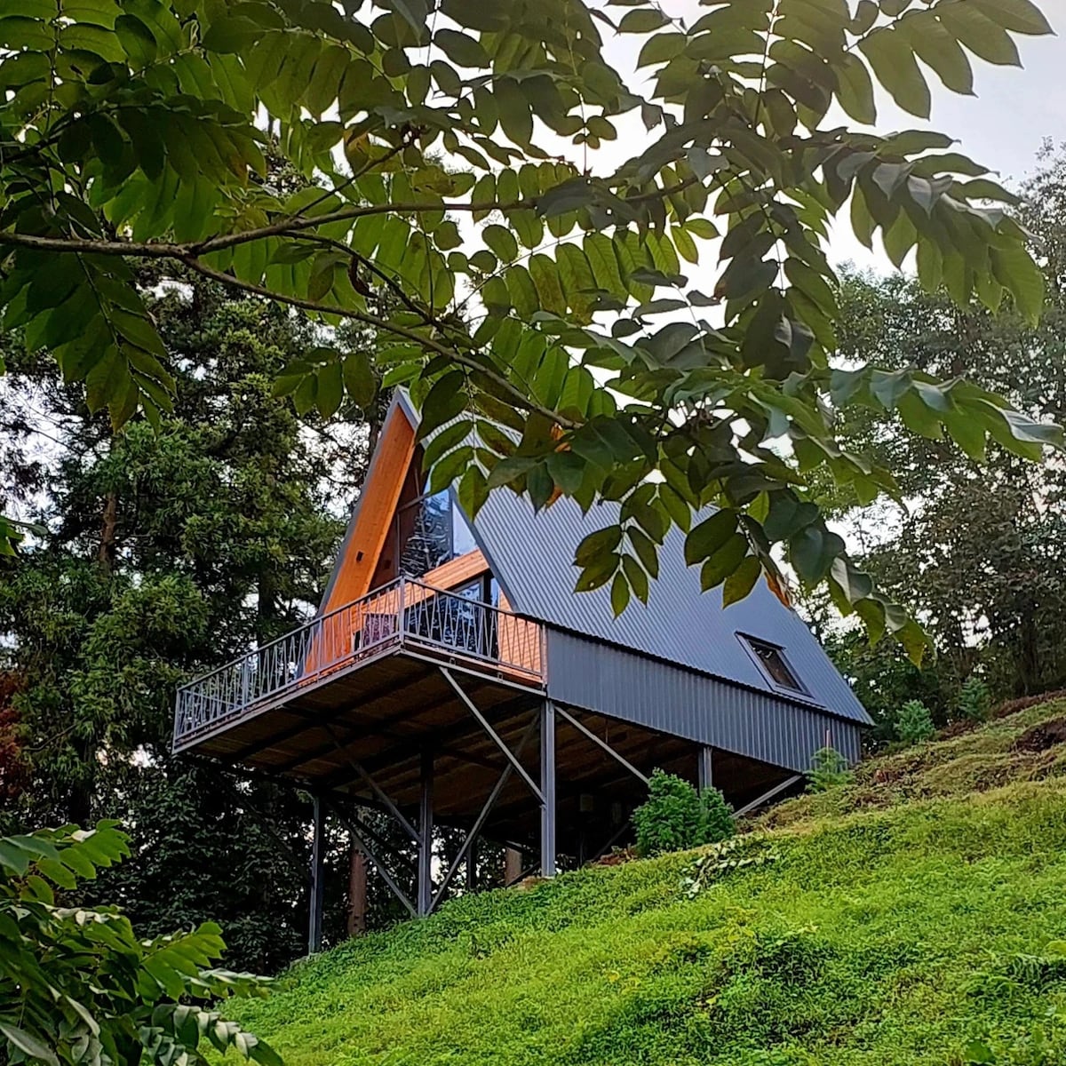 Cozy cottage in mountain near Batumi  Fernhouse
