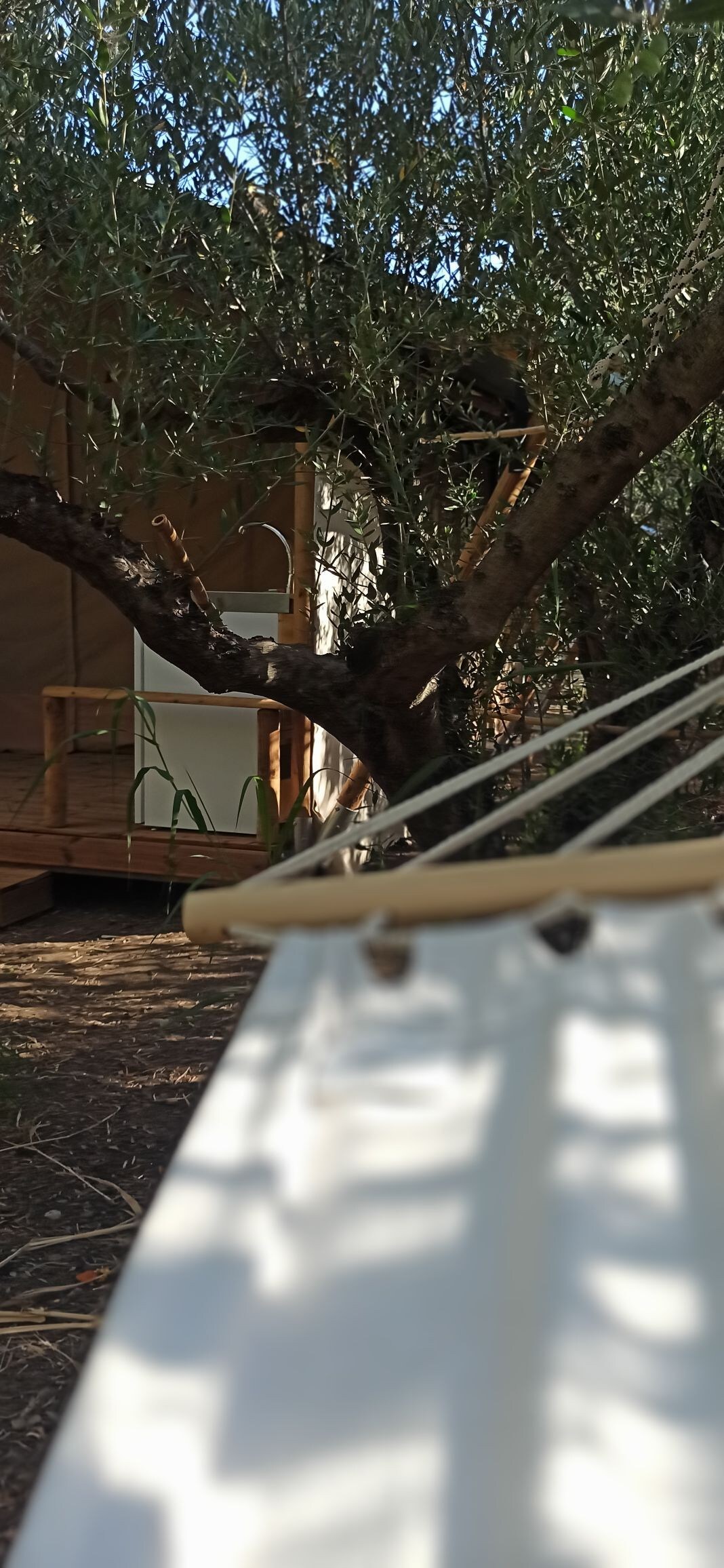 Glamping Poros: Canvas lodge hidden between trees