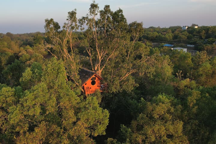 Auroville的民宿