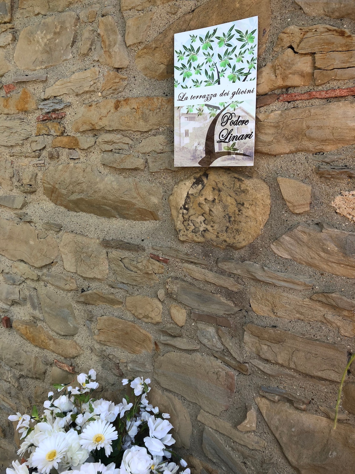 Podere Linari Wisteria Terrace