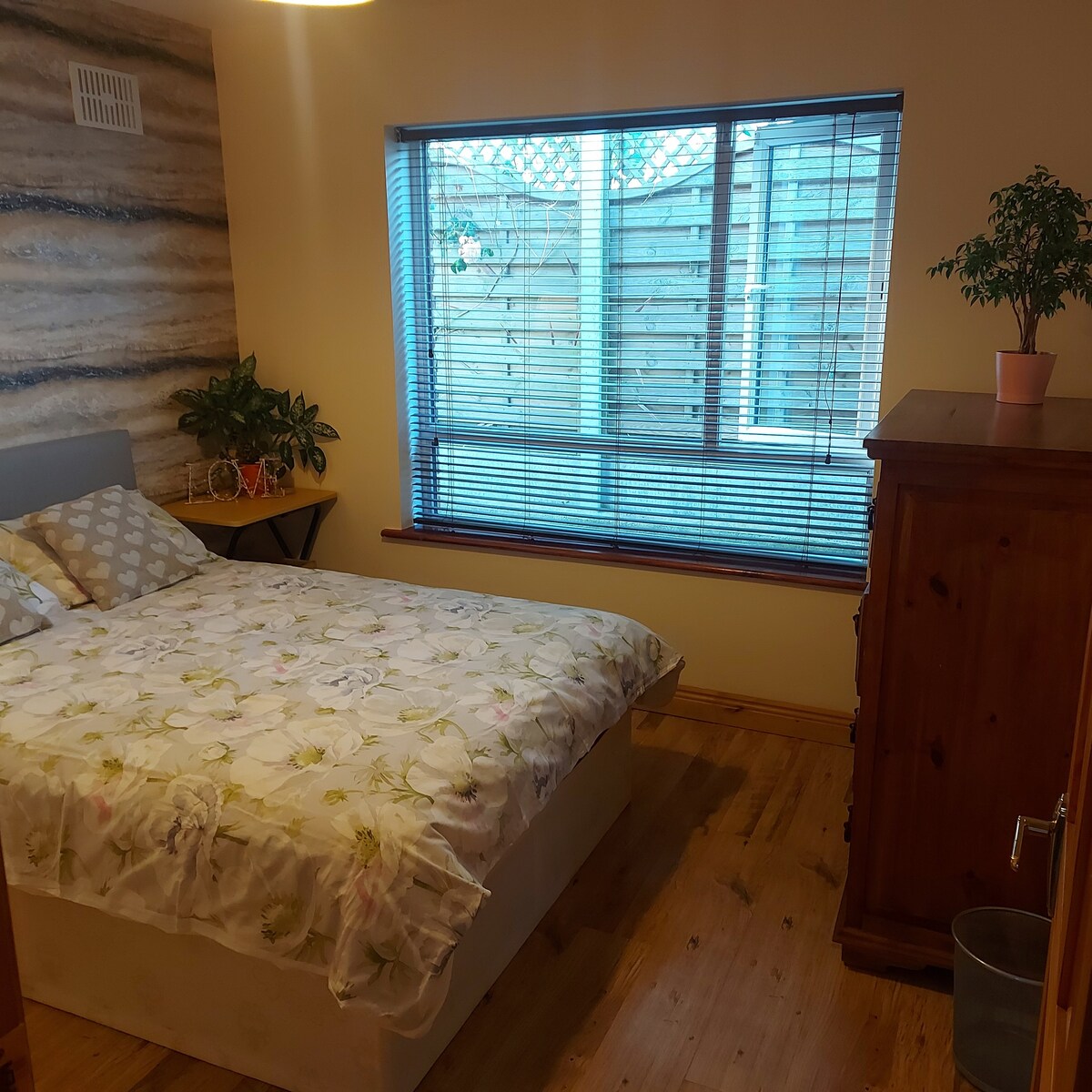 Friendly host, lovely room in Dublin