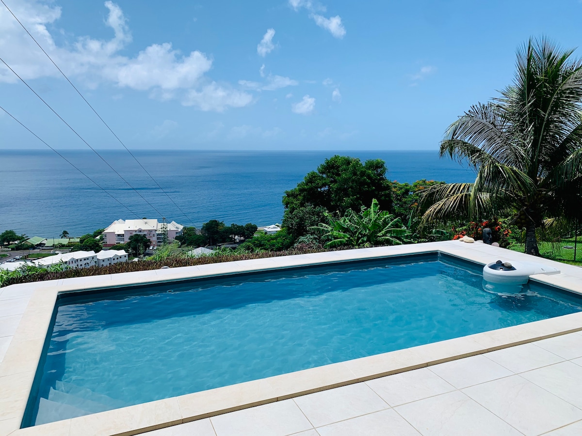 Villa piscine vue exceptionnelle mer et montagne