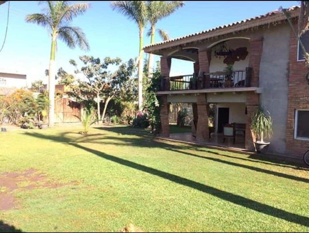 "Cedro"  El Patio de los Abuelos