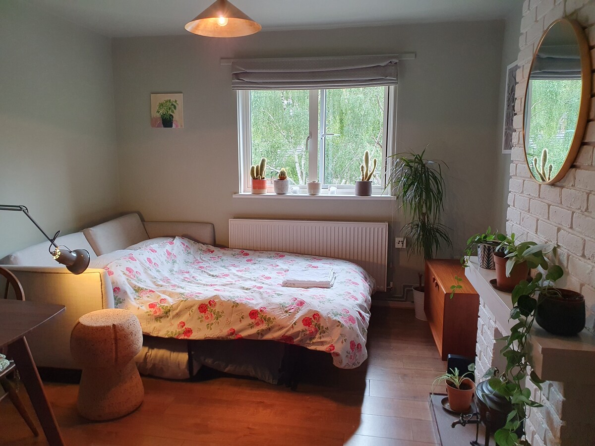 Sofa-bed in cozy Islington flat- female guest only