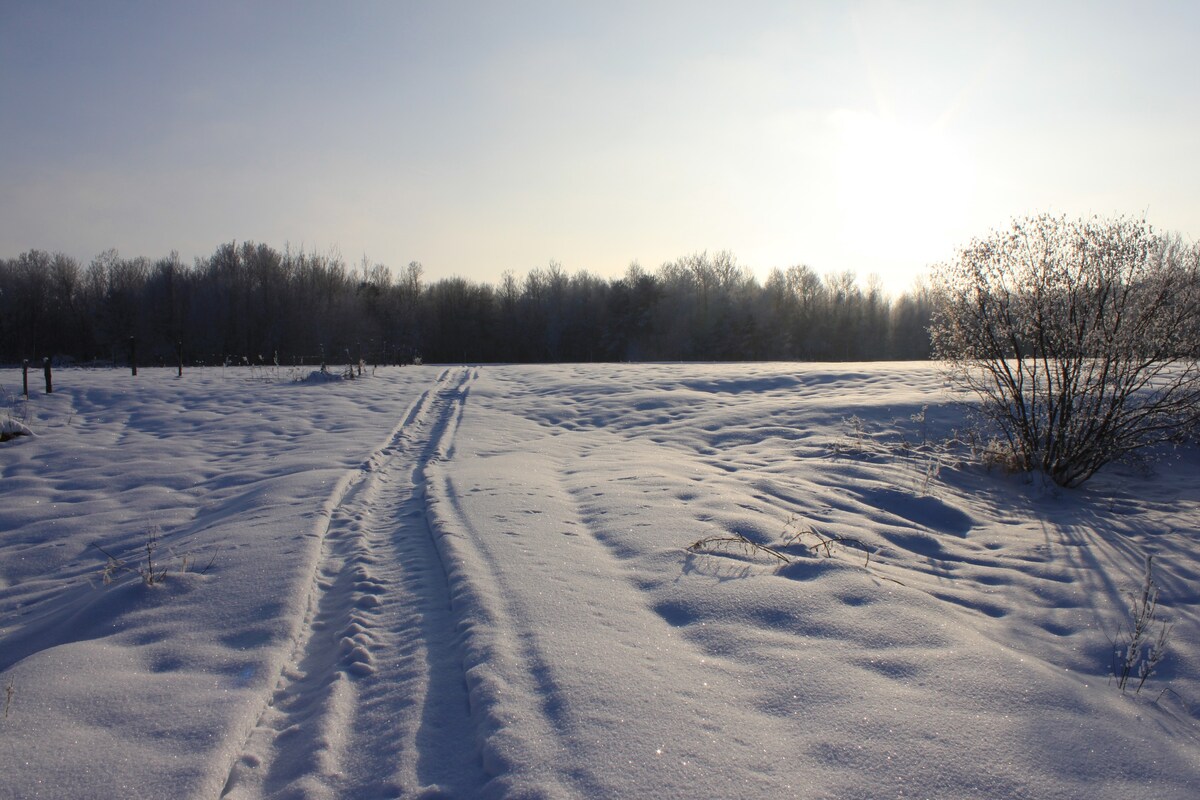 Countryside property