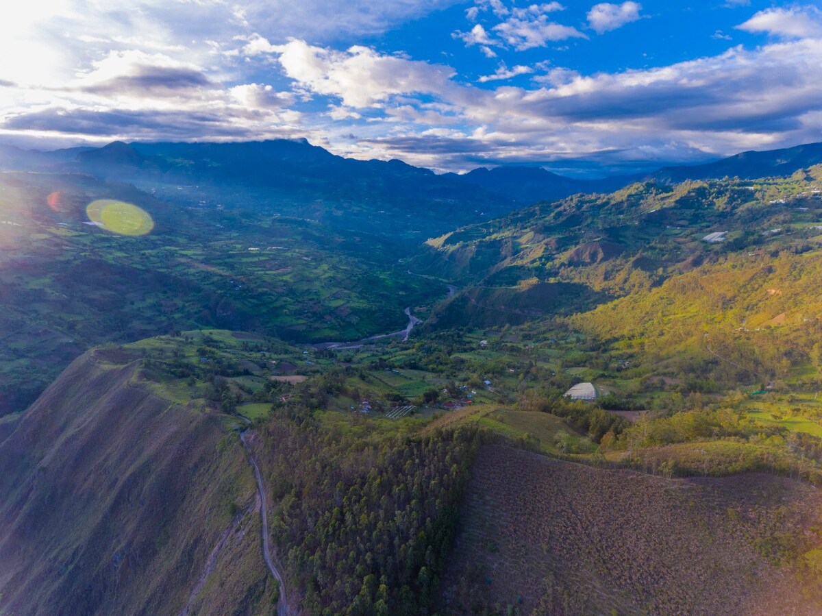 Cabañas en medio del campo