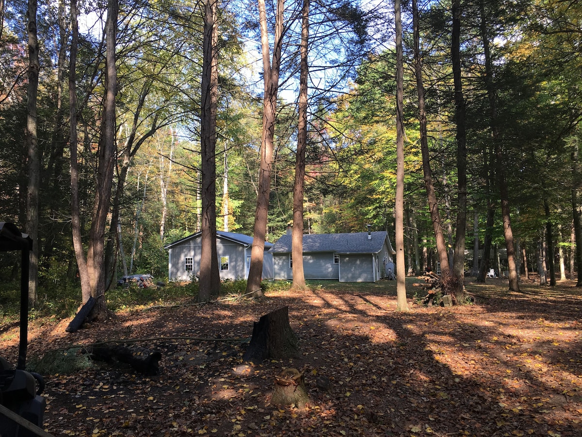 Paradise Cabin - Creekside