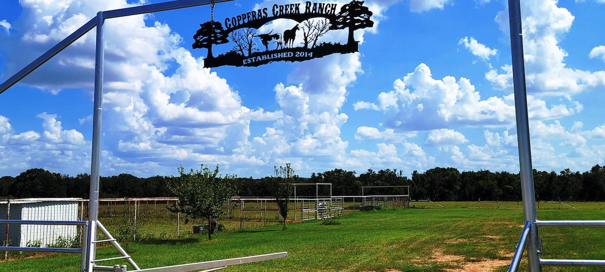 Longhorn Ranch House + Bunk house!