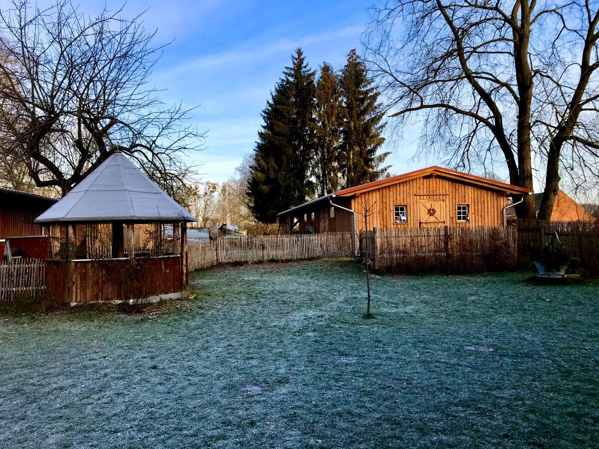 Försterhof Görlsdorf Ferienwohnung