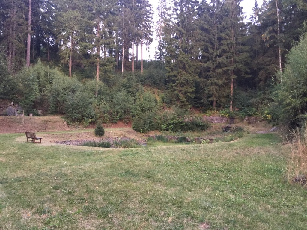 Alpaka Haus Sanssouci Tanne Oberharz Kaminwohnung