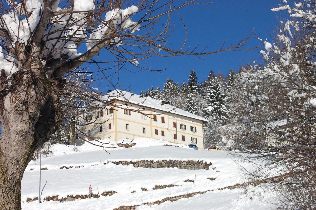 位于多洛米蒂（ Dolomites ）的舒适公寓-拉瓦隆（ Lavarone ）