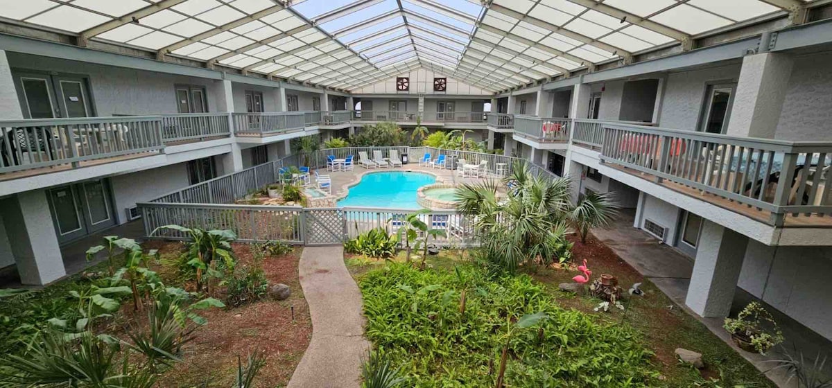 North Padre Island Beach View Condo Unit #224