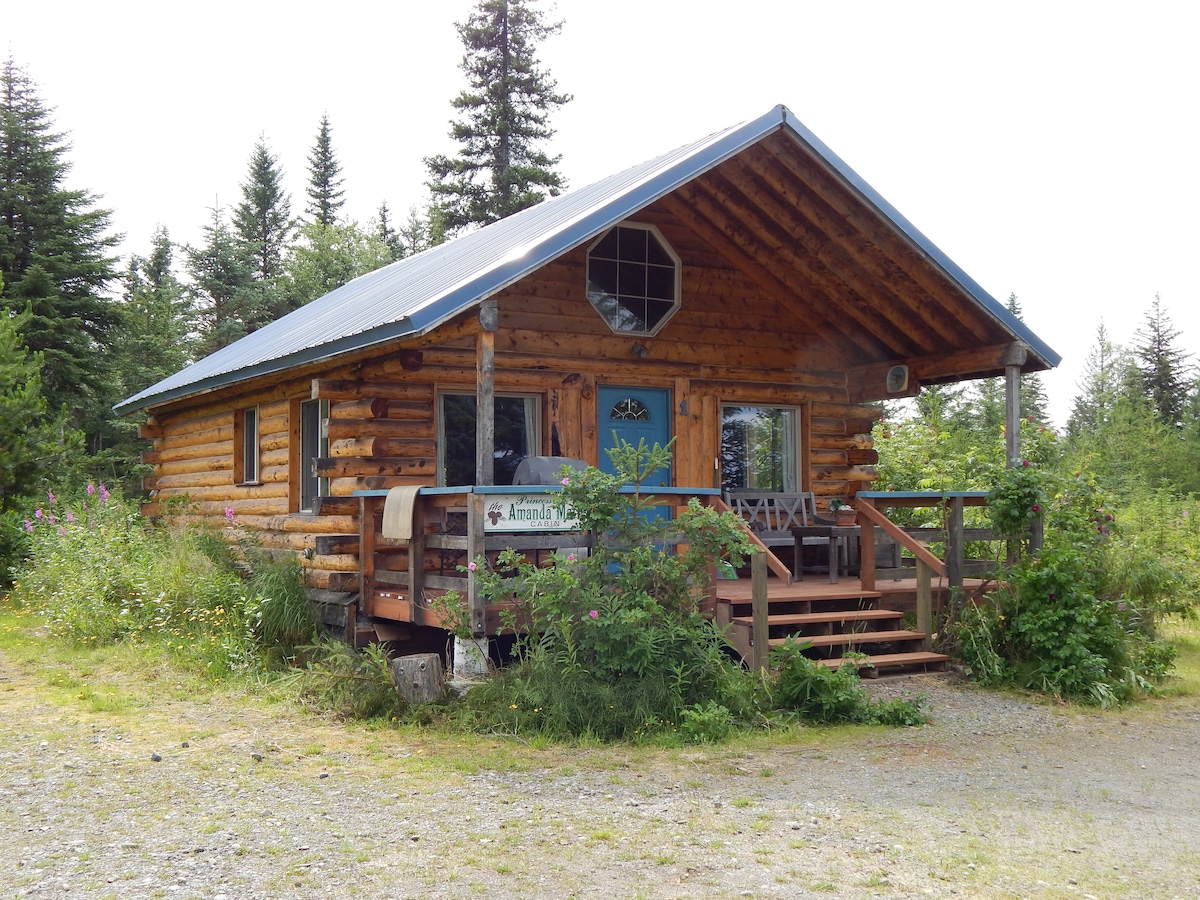 Willow Cabin Anchor Point Alaska!