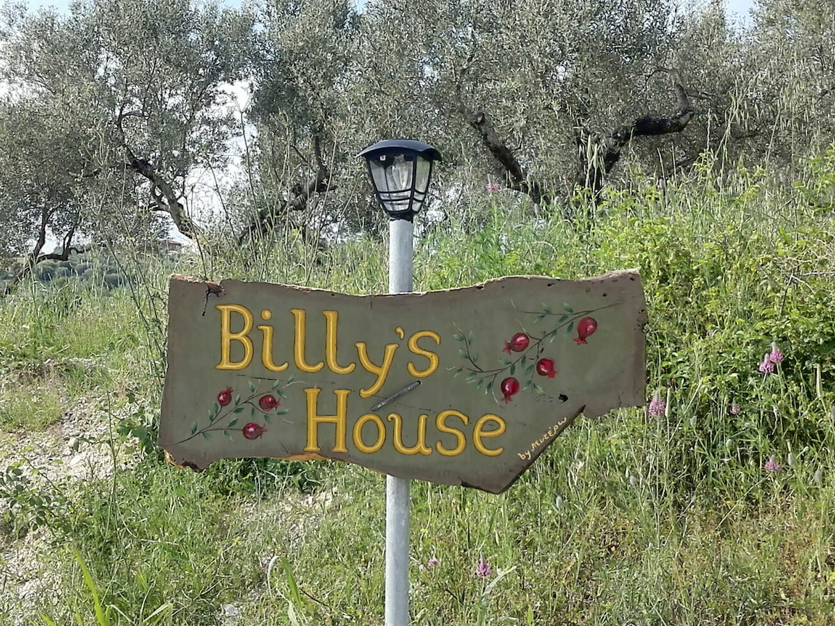 Billys House