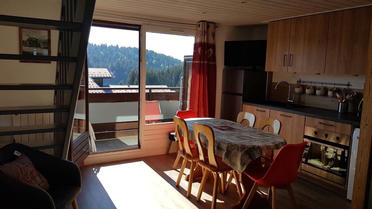 LE VESINE 2, APPARTEMENT 3 CHAMBRES  6 PERSONNES