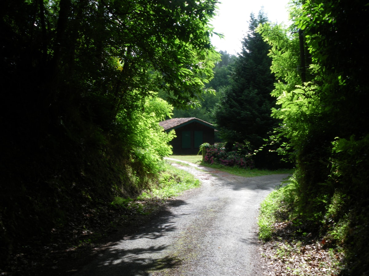 Chalet du Moulin de Hinx （乡村小屋）