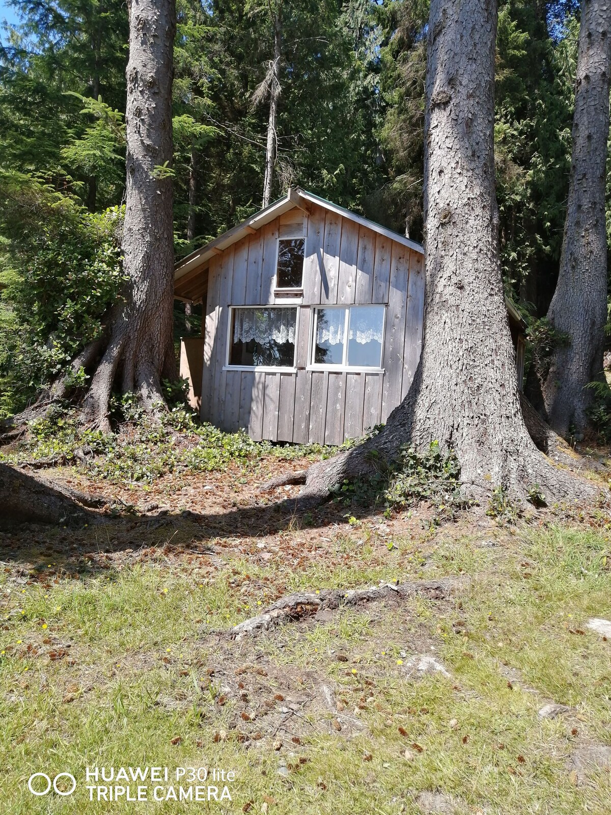 Ocean View. Beach Family/Group Cabin