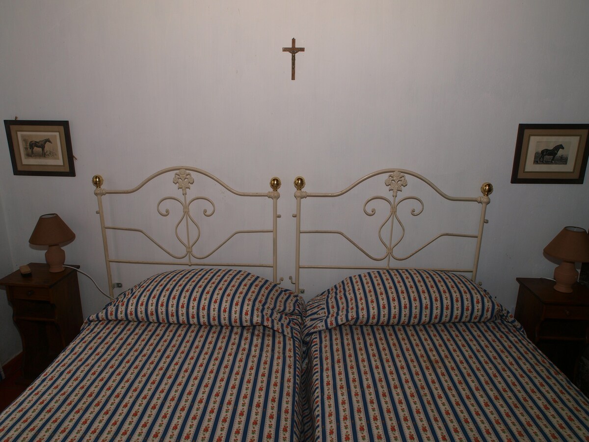 Quinta do Brejo -带卧室的半独立房屋_1
