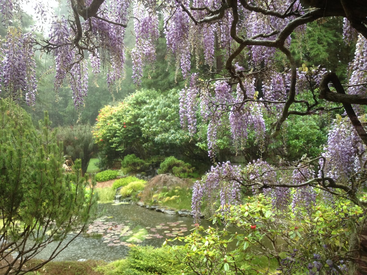 布拉格堡附近的Garden Sanctuary