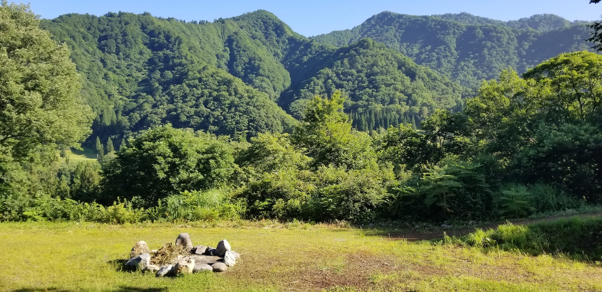 大自然中舒适的穹顶，景观。可以携带宠物！